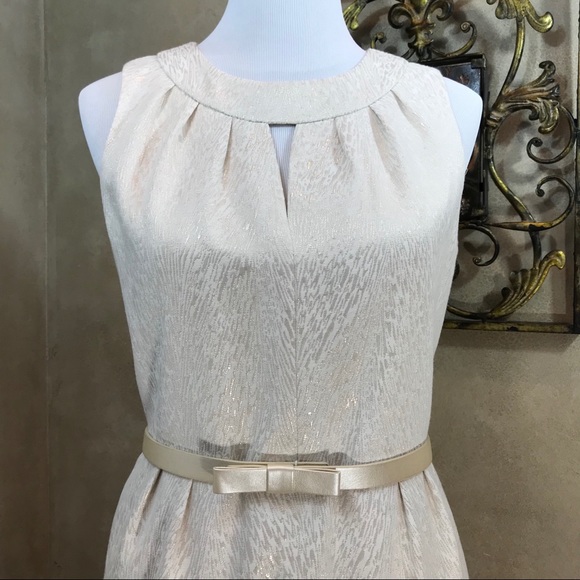 TAHARI Lined Midi Sleeveless Dress w/ Belt EUC sz6 - Picture 3 of 7